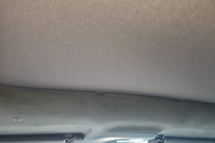 Used Zeekr 001 2024 WE Edition 100 kWh Rear-Drive Headliner