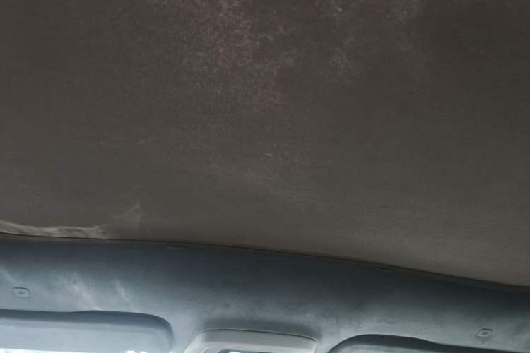 Used Zeekr 001 2024 ME Edition 100 kWh All-Wheel Drive Headliner