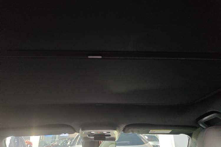 Used Zeekr 001 2024 WE Edition 100 kWh Rear-Drive Headliner