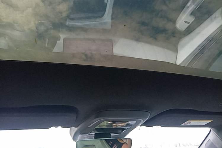 Used Zeekr 001 2024 WE Edition 100 kWh Rear-Drive Headliner