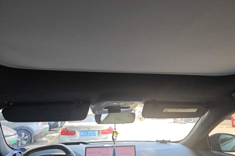 Used Zeekr 001 2024 ME Edition 100 kWh All-Wheel Drive Headliner