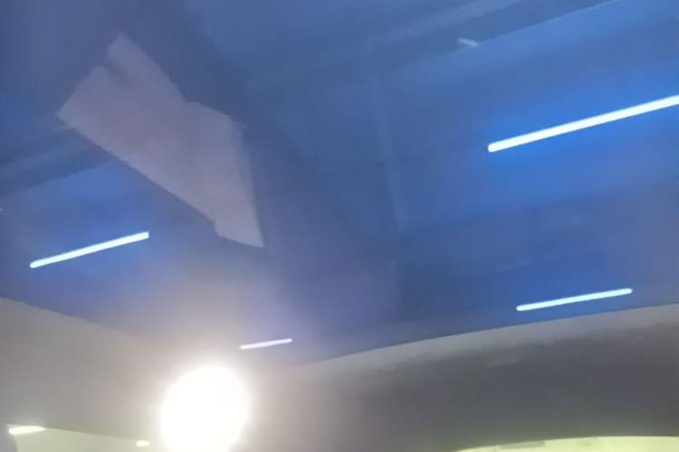 Used Zeekr 001 2024 YOU Edition 100 kWh All-Wheel Drive Headliner