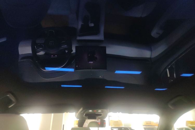 Used Zeekr 001 2024 WE Edition 100 kWh Rear-Drive Headliner