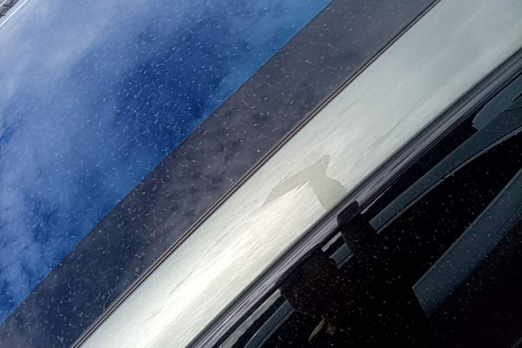 Used Zeekr 001 2024 WE Edition 100 kWh Rear-Drive Roof
