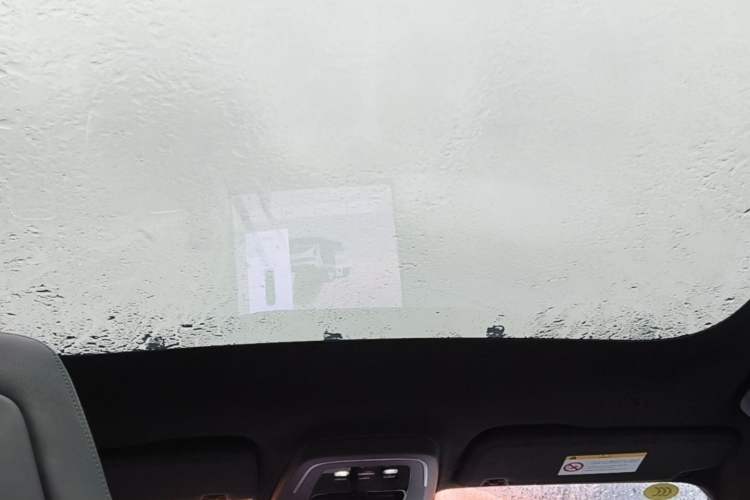 Used Zeekr 001 2024 WE Edition 100 kWh Rear-Drive Headliner