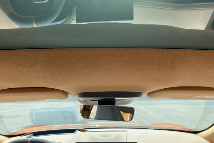 Used Zeekr 001 2024 WE Edition 100 kWh Rear-Drive Headliner