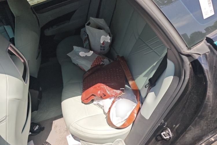 Used Zeekr 001 2024 WE Edition 100 kWh Rear-Drive Left Rear Seat