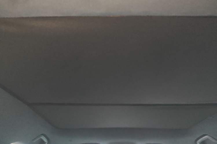 Used Zeekr 001 2024 ME Edition 100 kWh All-Wheel Drive Headliner