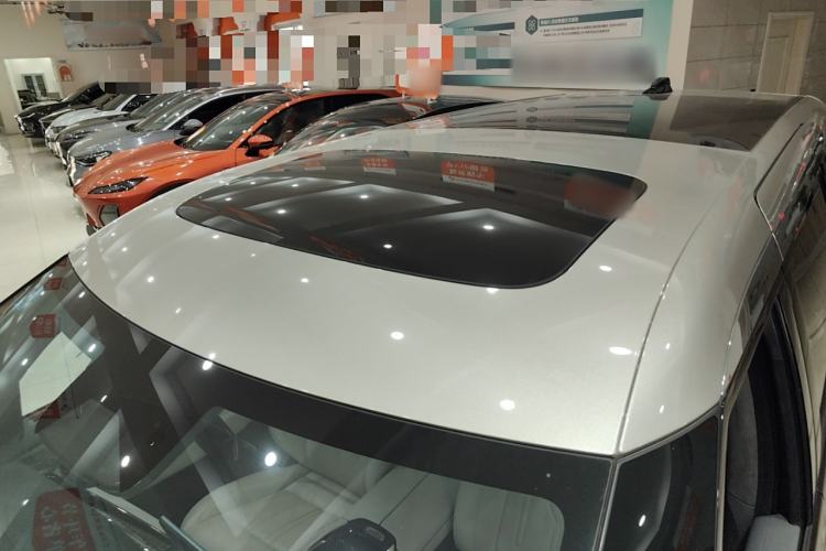 Used Zeekr 009 2022 ME Edition Roof