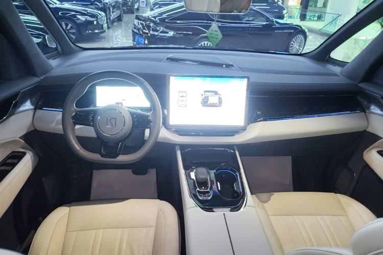 Used Zeekr 009 2022 WE Edition Center Console