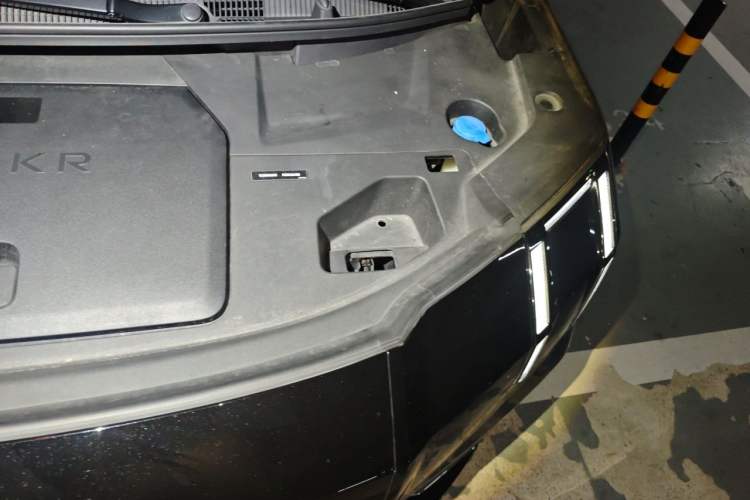 Used Zeekr 009 2022 WE Edition Engine Bay Left