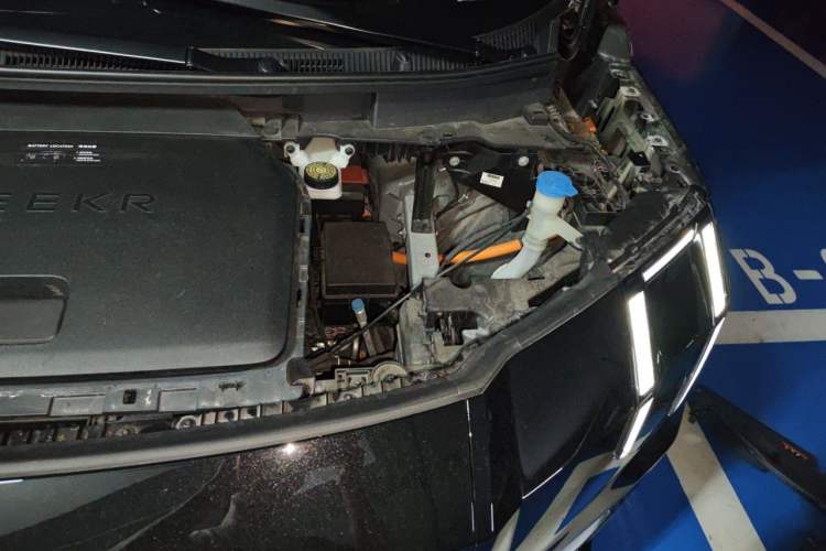 Used Zeekr 009 2022 WE Edition Engine Bay Left