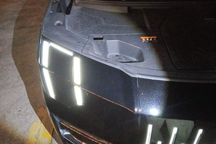 Used Zeekr 009 2022 WE Edition Engine Bay Right