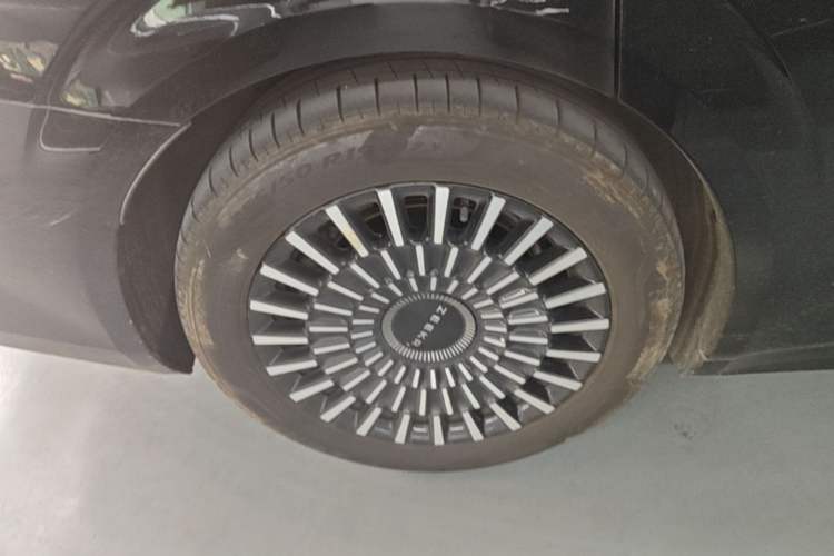 Used Zeekr 009 2022 WE Edition Exterior 5