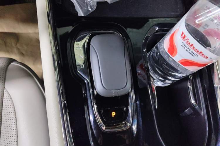 Used Zeekr 009 2022 WE Edition Gear Lever