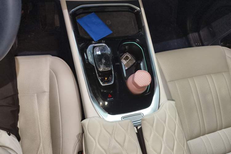 Used Zeekr 009 2022 WE Edition Gear Lever