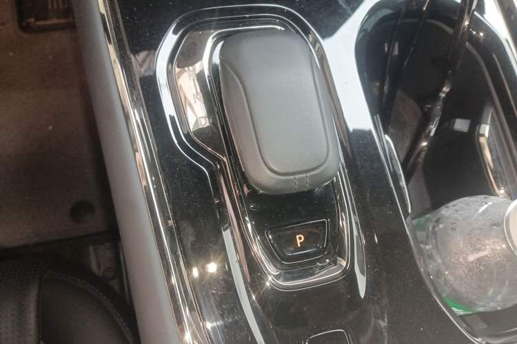 Used Zeekr 009 2022 WE Edition Gear Lever