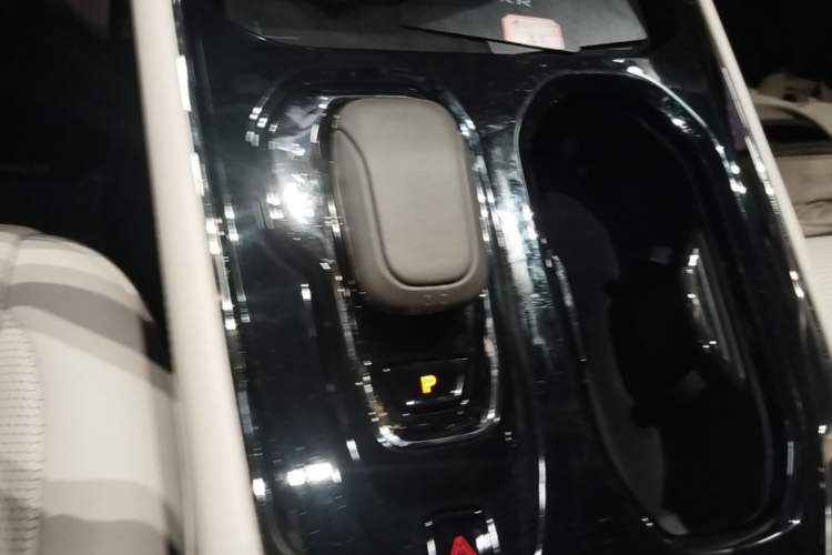 Used Zeekr 009 2022 WE Edition Gear Lever