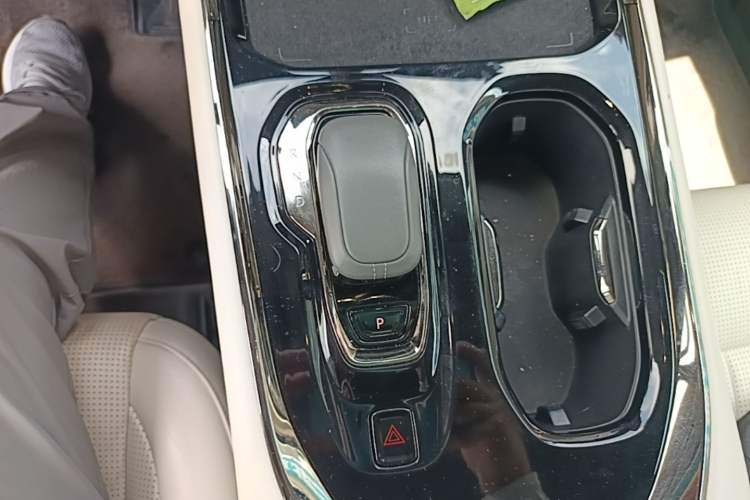 Used Zeekr 009 2022 WE Edition Gear Lever