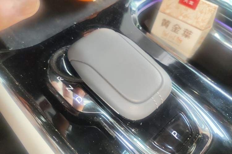Used Zeekr 009 2022 WE Edition Gear Lever