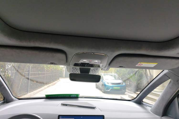 Used Zeekr 009 2022 WE Edition Headliner