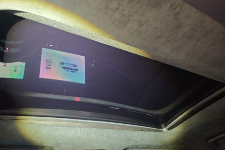 Used Zeekr 009 2022 WE Edition Headliner