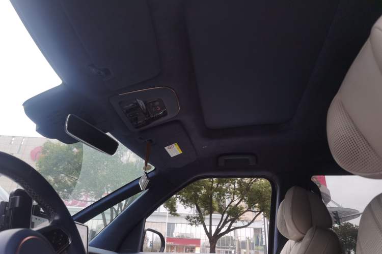 Used Zeekr 009 2022 WE Edition Headliner