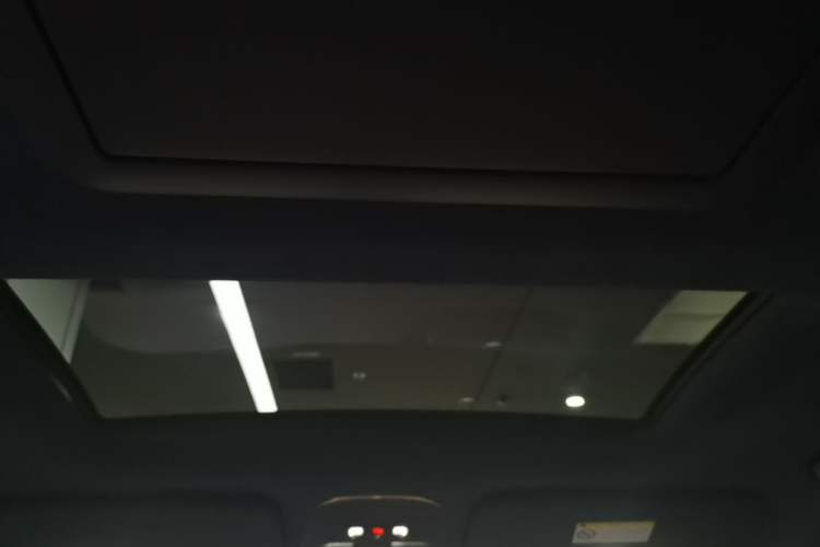 Used Zeekr 009 2022 Revised WE Version Headliner