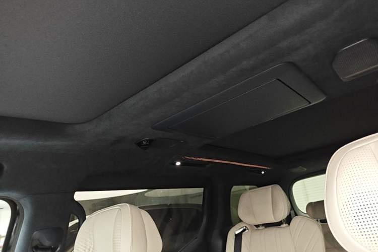 Used Zeekr 009 2022 WE Edition Headliner