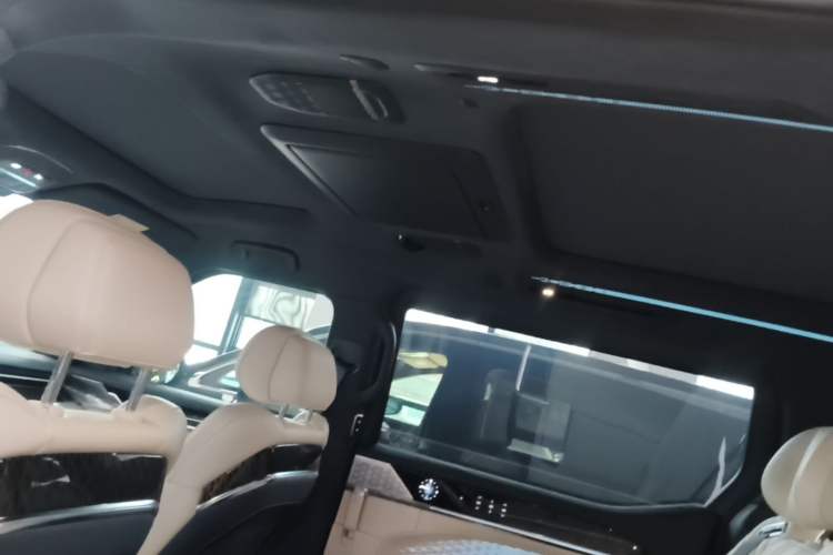 Used Zeekr 009 2022 Revised WE Version Headliner