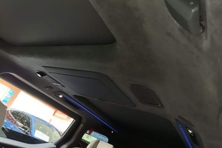 Used Zeekr 009 2022 WE Edition Headliner