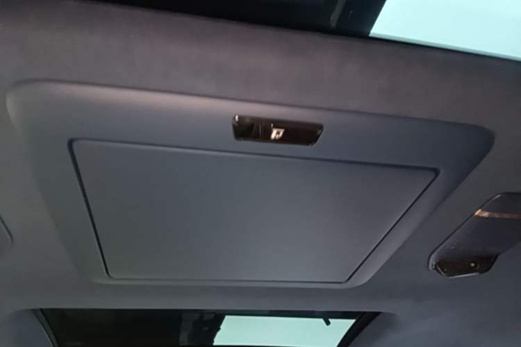 Used Zeekr 009 2022 WE Edition Headliner