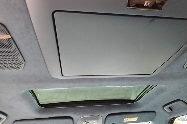 Used Zeekr 009 2022 WE Edition Headliner