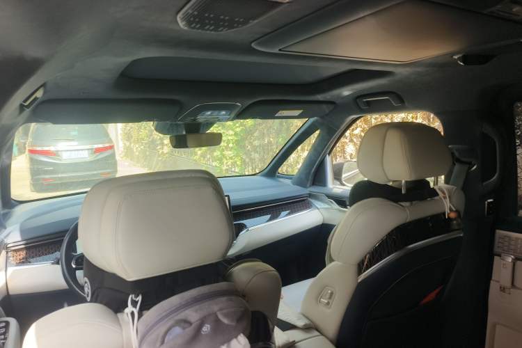 Used Zeekr 009 2022 WE Edition Headliner