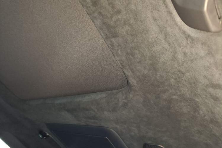 Used Zeekr 009 2022 WE Edition Headliner