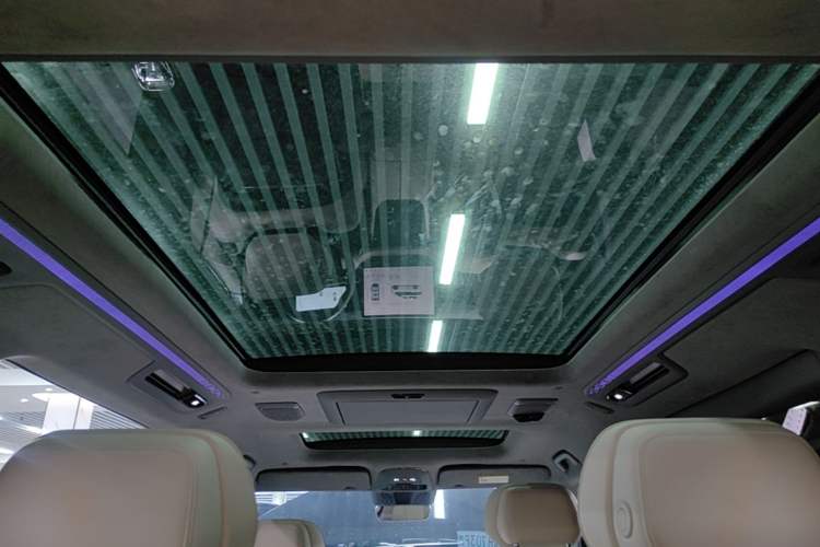 Used Zeekr 009 2022 WE Edition Headliner