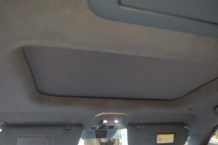 Used Zeekr 009 2022 WE Edition Headliner