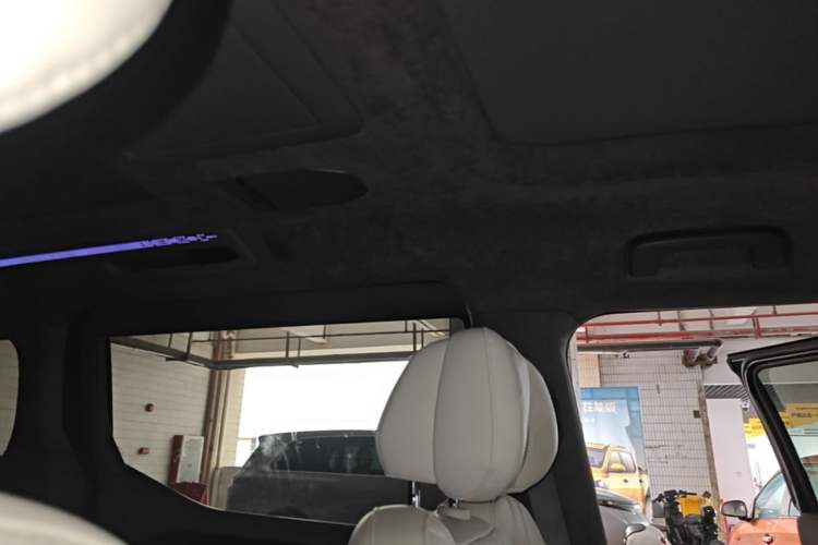 Used Zeekr 009 2022 WE Edition Headliner