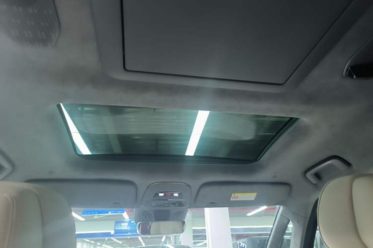 Used Zeekr 009 2022 WE Edition Headliner