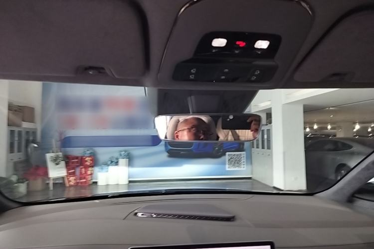 Used Zeekr 009 2022 WE Edition Headliner