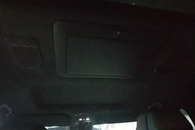 Used Zeekr 009 2022 Revised WE Version Headliner