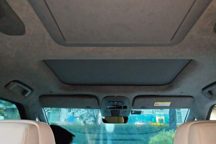 Used Zeekr 009 2022 WE Edition Headliner