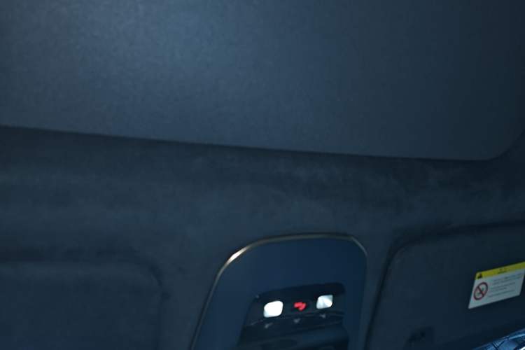 Used Zeekr 009 2022 WE Edition Headliner