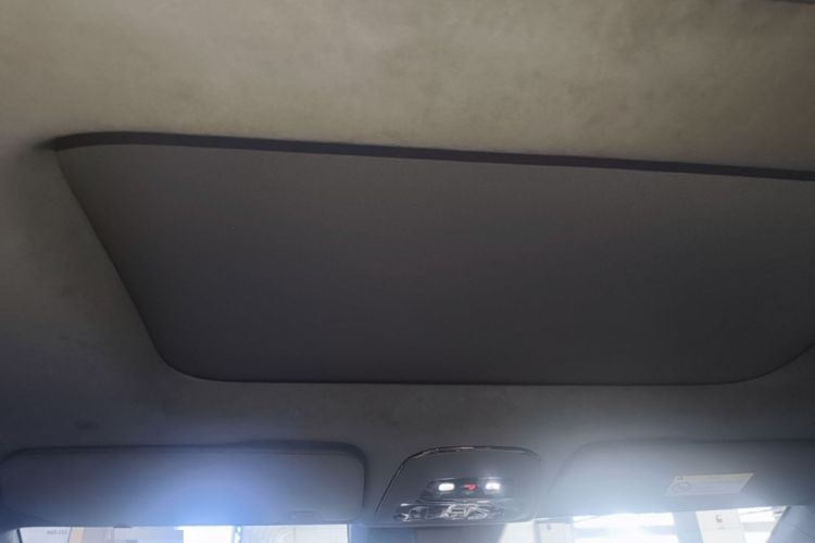 Used Zeekr 009 2022 WE Edition Headliner