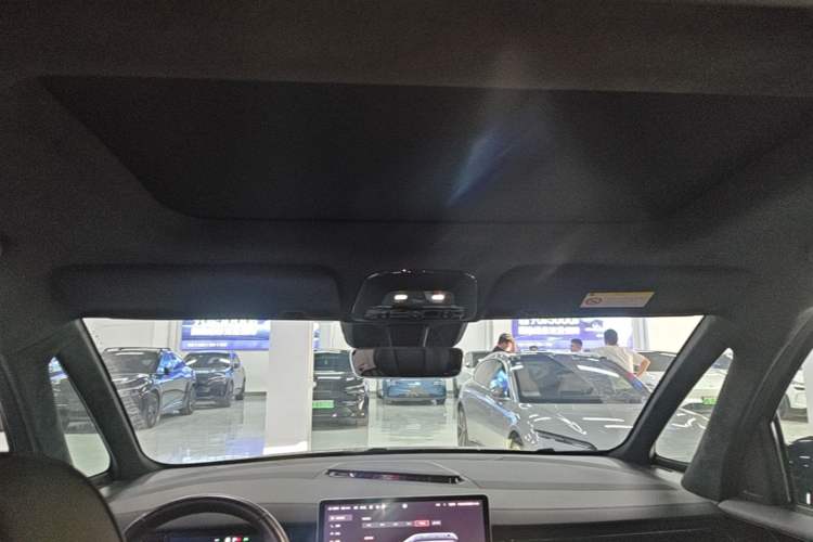 Used Zeekr 009 2022 WE Edition Headliner