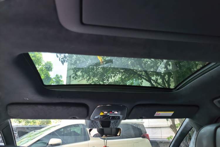 Used Zeekr 009 2022 WE Edition Headliner