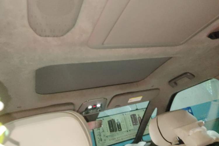 Used Zeekr 009 2022 WE Edition Headliner
