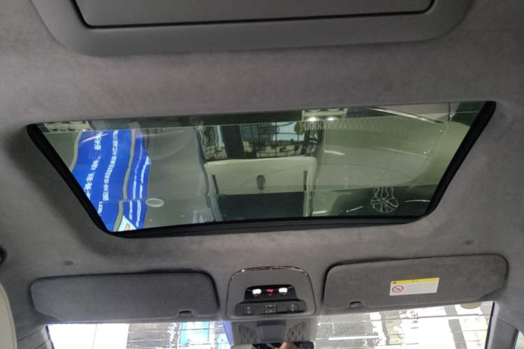 Used Zeekr 009 2022 WE Edition Headliner