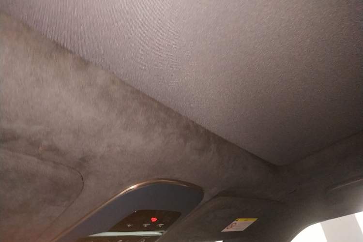 Used Zeekr 009 2022 WE Edition Headliner