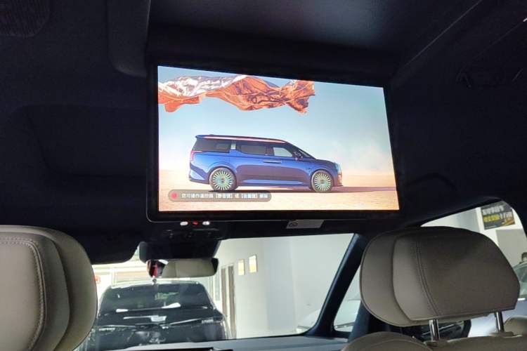 Used Zeekr 009 2022 WE Edition Headliner